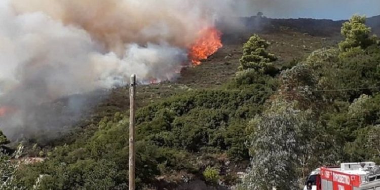 Μαίνεται η πυρκαγιά στη Ζάκυνθο – Έκκληση για ενισχύσεις – News.gr