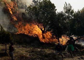 Νεκρός 57χρονος στην πυρκαγιά στην Ανδρίτσαινα – News.gr