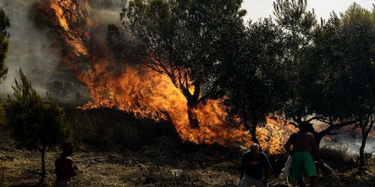 Νεκρός 57χρονος στην πυρκαγιά στην Ανδρίτσαινα – News.gr