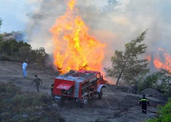ΚΑΛΛΙΘΕΑ ΗΛΕΙΑΣ: Μεγάλη πυρκαγιά αυτή την ώρα!