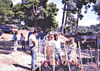 Ξεκινά σε λίγες μέρες η Παραδοσιακή εμποροπανήγυρη στο Βάραγκα Ωλένης