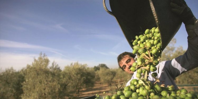 Εξετάζεται επιστροφή του ειδικού φόρου στο αγροτικό πετρέλαιο