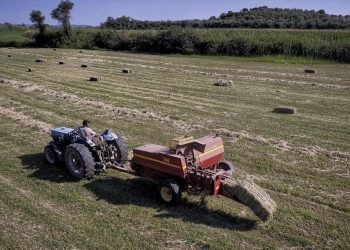 ΕΛΓΑ: 5,7 εκατ. ευρώ σε 5.308 δικαιούχους από αύριο