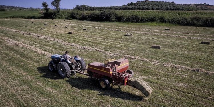 ΕΛΓΑ: 5,7 εκατ. ευρώ σε 5.308 δικαιούχους από αύριο