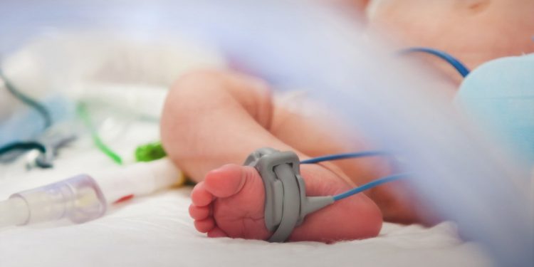 Νεκρό βρέφος από δαγκωματιές σκύλου – News.gr