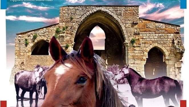 ΔΗΜΟΣ ΑΝΔΡΑΒΙΔΑΣ – ΚΥΛΛΗΝΗΣ: Ξεκινά η Ιππική Έκθεση Ανδραβίδας