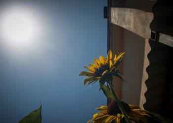 Υψηλές θερμοκρασίες, σε ποιες περιοχές θα βρέξει – News.gr