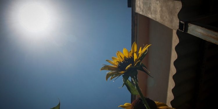 Υψηλές θερμοκρασίες, σε ποιες περιοχές θα βρέξει – News.gr