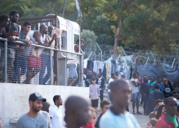 Μας έτρωγαν τα ποντίκια – News.gr