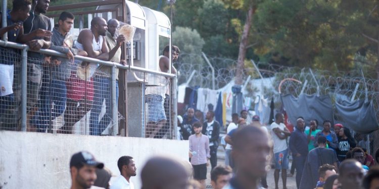 Μας έτρωγαν τα ποντίκια – News.gr