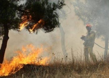 Ηλικιωμένος απανθρακώθηκε καίγοντας ξερά χόρτα – Newsbeast