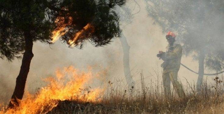 Ηλικιωμένος απανθρακώθηκε καίγοντας ξερά χόρτα – Newsbeast