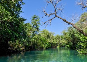 Εντυπωσιακό σκηνικό στον προθάλαμο του Κάτω Κόσμου – Newsbeast