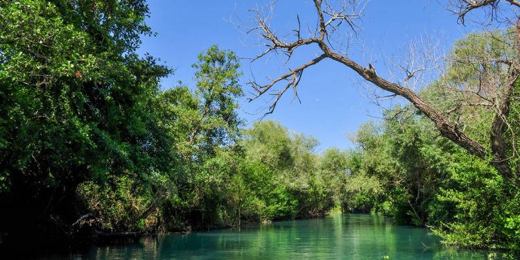 Εντυπωσιακό σκηνικό στον προθάλαμο του Κάτω Κόσμου – Newsbeast