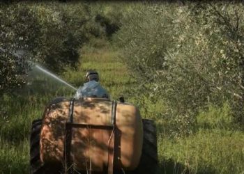 Π.Ε ΗΛΕΙΑΣ: Συνεχίζονται την Πέμπτη οι δολωματικοί ψεκασμοί σε τ.κ του Κάμπου