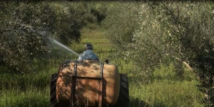 Π.Ε ΗΛΕΙΑΣ: Συνεχίζονται την Πέμπτη οι δολωματικοί ψεκασμοί σε τ.κ του Κάμπου