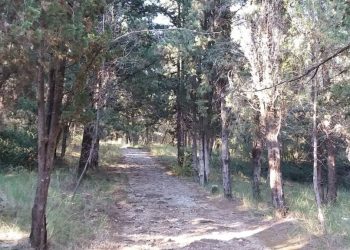 Διπλή τραγωδία στο Κουνουπέλι!