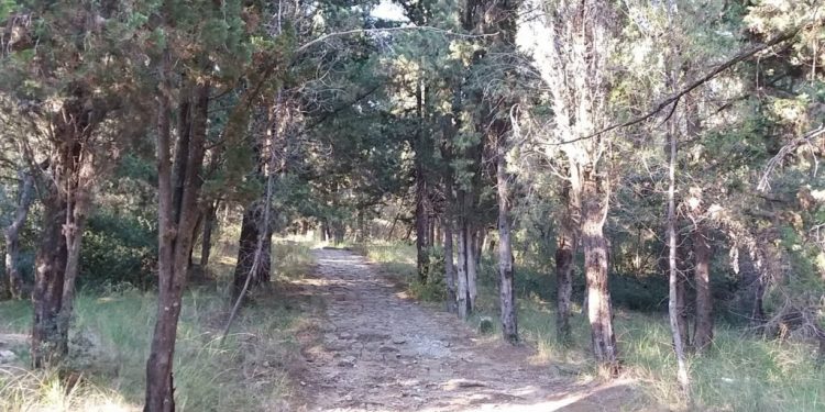 Διπλή τραγωδία στο Κουνουπέλι!