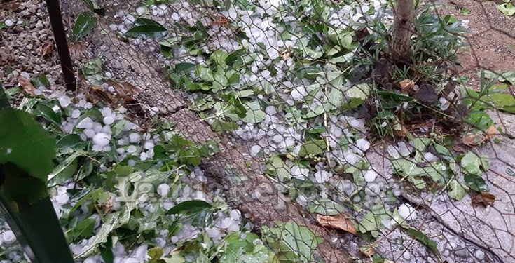 Καιρός: Χαλάζι, ξεριζωμένα δέντρα και ζημιές στη Φθιώτιδα