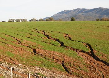 “ΟΙΚΟΛΟΓΙΚΗ ΔΥΤΙΚΗ ΕΛΛΑΔΑ”: Ερώτηση για το Περιφερειακό Σχέδιο Προσαρμογής στην Κλιματική Αλλαγή