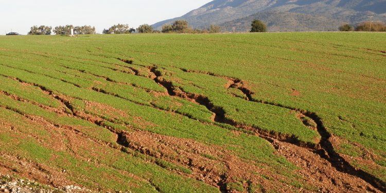 “ΟΙΚΟΛΟΓΙΚΗ ΔΥΤΙΚΗ ΕΛΛΑΔΑ”: Ερώτηση για το Περιφερειακό Σχέδιο Προσαρμογής στην Κλιματική Αλλαγή