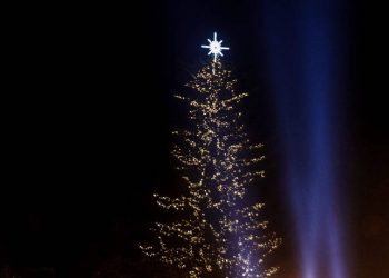 Χριστούγεννα 2019: Εντυπωσιακές εικόνες από τη φωταγώγηση του υψηλότερου φυσικού δέντρου στην Ελλάδα