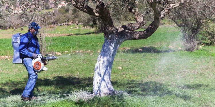 Π.Ε ΗΛΕΙΑΣ: Εισφορά δακοκτονίας για το ελαιοκομικό έτος 2019 -2020