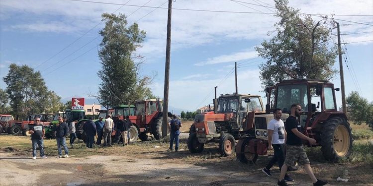 Είχαν θάψει όπλα και ναρκωτικά σε χωράφι της Κρήτης