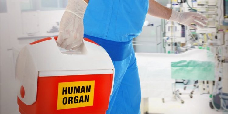 Δώρο ζωής από θύμα τροχαίου δυστυχήματος στην Κρήτη – News.gr