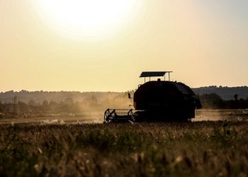 Ιεράπετρα: Αγρότης κινδύνευσε να χάσει τη ζωή του από φόλα