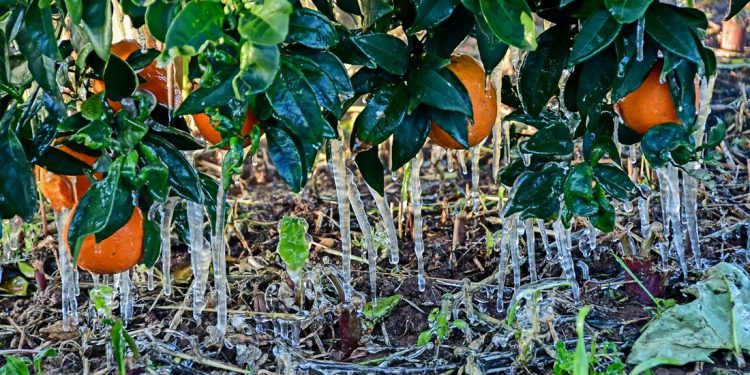 Στα λευκά πολλές περιοχές της χώρας – Το φαινόμενο της παγωμένης βροχής που χτυπάει την Βόρεια Ελλάδα