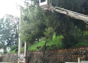 ΠΥΡΓΟΣ: Πτώση δένδρου στο επαρχείο και υλικές ζημιές σε όχημα