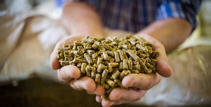 Αυτεπάγγελτη έρευνα στην αγορά τροφής για τη σίτιση γουνοφόρων ζώων