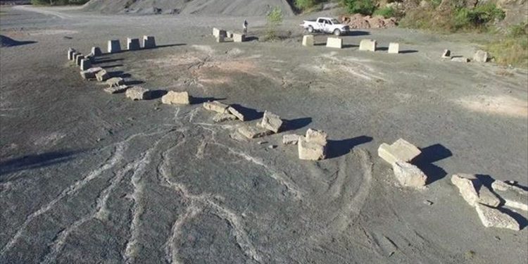 «Θησαυρός» 386 εκατομμυρίων ετών σε λατομείο της Νέας Υόρκης
