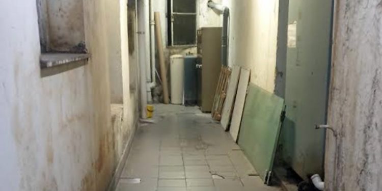 Εικόνες σοκ από το νοσοκομείο «Αλεξάνδρα» – Κατσαρίδες δημιούργησαν αποικίες στα υπόγεια του κτιρίου