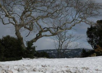 Καιρός: Στο ψυγείο η χώρα τα επόμενα 24ωρα - Χιόνια, καταιγίδες και βουτιά του υδράργυρου