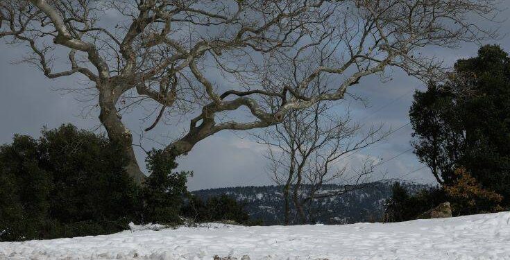 Καιρός: Στο ψυγείο η χώρα τα επόμενα 24ωρα - Χιόνια, καταιγίδες και βουτιά του υδράργυρου