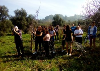 “Φλόγα Αναμνήσεων”