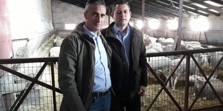 ΘΟΔΩΡΗΣ ΒΑΣΙΛΟΠΟΥΛΟΣ: “Άμεσα τα μέτρα στήριξης κτηνοτρόφων-πτηνοτρόφων λόγω κορονοϊού”