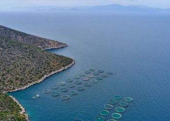 Ιχθυοκαλλιέργειες: Αύξηση παραγωγής, στο 80% οι εξαγωγές τσιπούρας-λαβρακιού