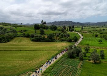 Αναβολή δράσεων δρόμου Ολυμπιακής Εκεχειρίας 2020 στο νομό Ηλείας (βίντεο)