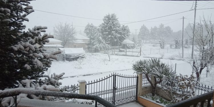 Λευκό τοπίο στην Πτολεμαϊδα! (φωτος)