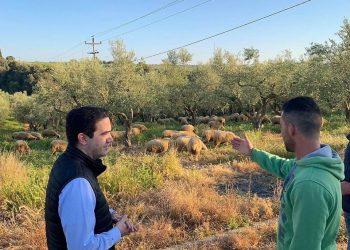 ΜΙΧΑΛΗΣ ΚΑΤΡΙΝΗΣ: “Οι κτηνοτρόφοι και οι αγρότες της Ηλείας αντιμετωπίζουν μειωμένες τιμές, αλλά και αδράνεια από την κυβέρνηση”