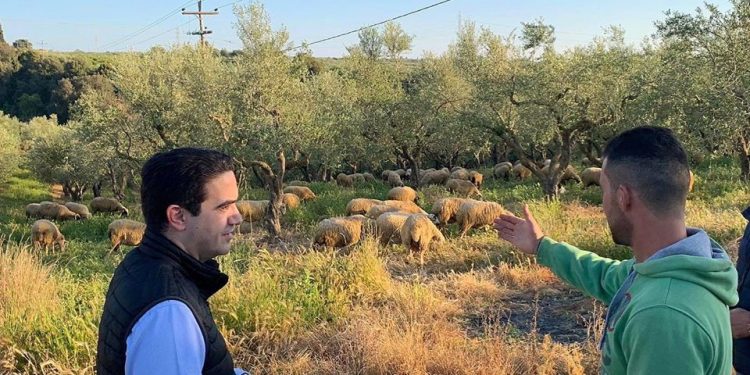 ΜΙΧΑΛΗΣ ΚΑΤΡΙΝΗΣ: “Οι κτηνοτρόφοι και οι αγρότες της Ηλείας αντιμετωπίζουν μειωμένες τιμές, αλλά και αδράνεια από την κυβέρνηση”