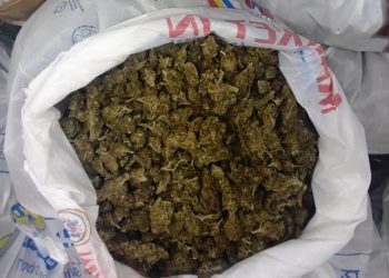 ΚΑΛΑΜΑΤΑ: Εξαρθρώθηκε σπείρα που “γέμιζε” με ναρκωτικά την Πελοπόννησο