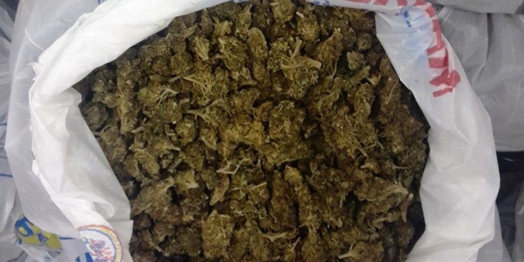 ΚΑΛΑΜΑΤΑ: Εξαρθρώθηκε σπείρα που “γέμιζε” με ναρκωτικά την Πελοπόννησο