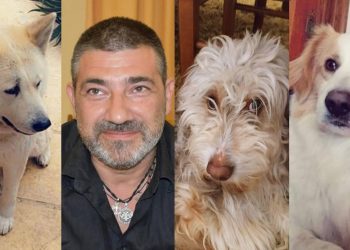 ΧΑΡΗΣ ΜΙΧΑΛΑΚΟΠΟΥΛΟΣ: “Ας βοηθήσουμε τα αδέσποτα και τους δημότες μας μαζί”