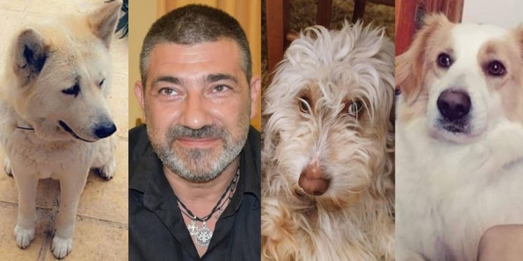 ΧΑΡΗΣ ΜΙΧΑΛΑΚΟΠΟΥΛΟΣ: “Ας βοηθήσουμε τα αδέσποτα και τους δημότες μας μαζί”