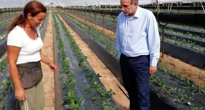 ΑΠΟΣΤΟΛΟΣ ΚΑΤΣΙΦΑΡΑΣ: Ολοκληρωμένες προτάσεις για τη στήριξη του πρωτογενή τομέα