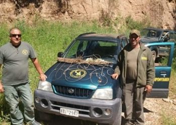 ΔΑΣΑΡΧΕΙΟ ΠΥΡΓΟΥ: Καταστράφηκαν παγίδες – βρόχοι με σκοπό τη σύλληψη αγριόχοιρων από αγνώστους (φωτος)